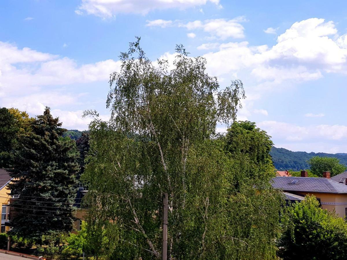 Ferienwohnung Elbhangblick - Fur 2 Personen Dresda Esterno foto